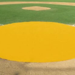 Best reviews of ⌛ FieldSaver 26' diameter Home Plate Cover, VINYL ⌛ -BASEBALL Official Shop a15 704yel 2 1