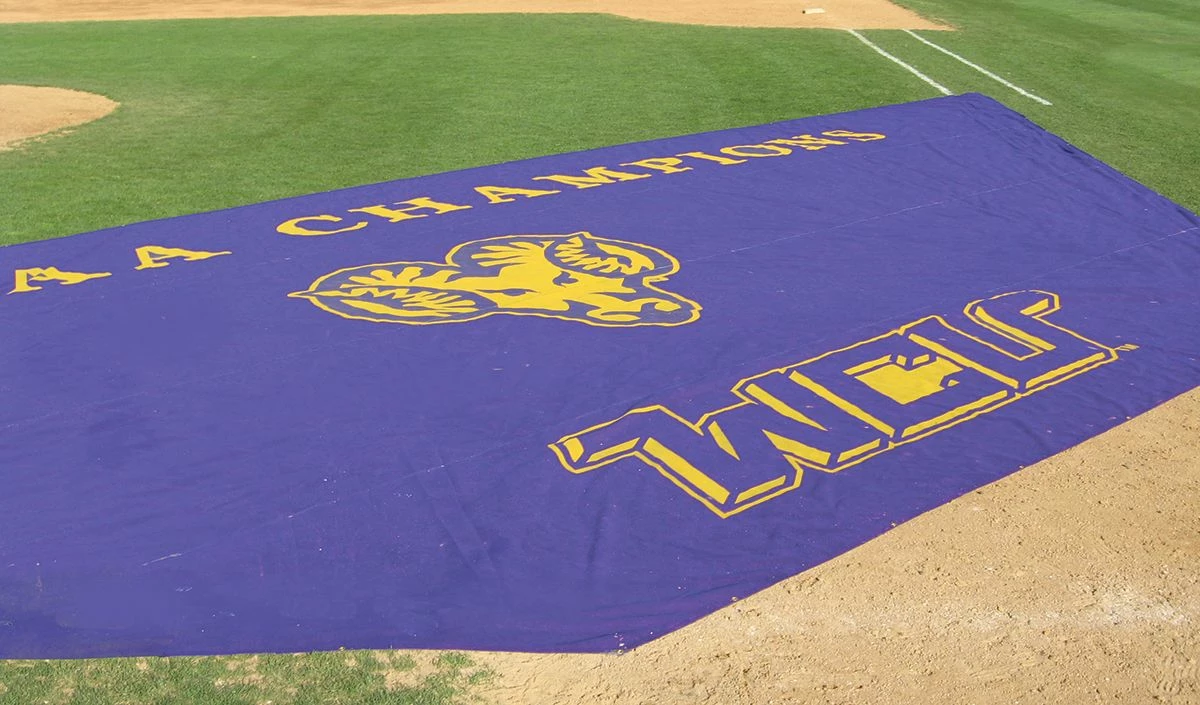 Coupon π€© FieldSaver Mesh Infield Protector VCM9x12 Standard Mesh, 15'x26'x56' Black π 2 Coupon π€© FieldSaver Mesh Infield Protector VCM9x12 Standard Mesh, 15'x26'x56' Black π - Image 2