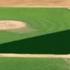 Coupon 🤩 FieldSaver Mesh Infield Protector VCM9x12 Standard Mesh, 15'x26'x56' Black 🎉