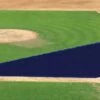 Coupon ⌛ FieldSaver Mesh Infield Protector VCP17x12 Armor Mesh, 20'x24'x64' Red 🌟