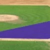 Hot Sale 😍 FieldSaver Mesh Infield Protector VCP17x12 Armor Mesh, 15'x20'x50' Red 🎁