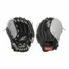 Top 10 😀 Rawlings 10.5" Sure Catch Youth ⚾ Baseball Glove ✨
