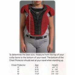 Best Sale 👏 Schutt S3.5 Reversible Catcher's Chest Protector Navy 🎁 -BASEBALL Official Shop a32 252 size chart 1