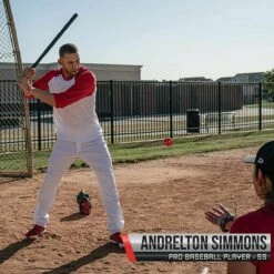 Brand new 🎉 POWERNET Portable Warm-Up/Strength Training ⚾ Baseball Set 💯 -BASEBALL Official Shop a33 009 05 1