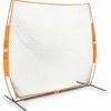 Buy 👍 BOWNET BowST ⚾ Baseball / 🥎 Softball Soft Toss Net 😍
