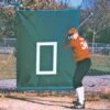 Hot Sale 😀 CageSaver Batting Cage Net Backdrop Protector, 22 oz Green 🔥