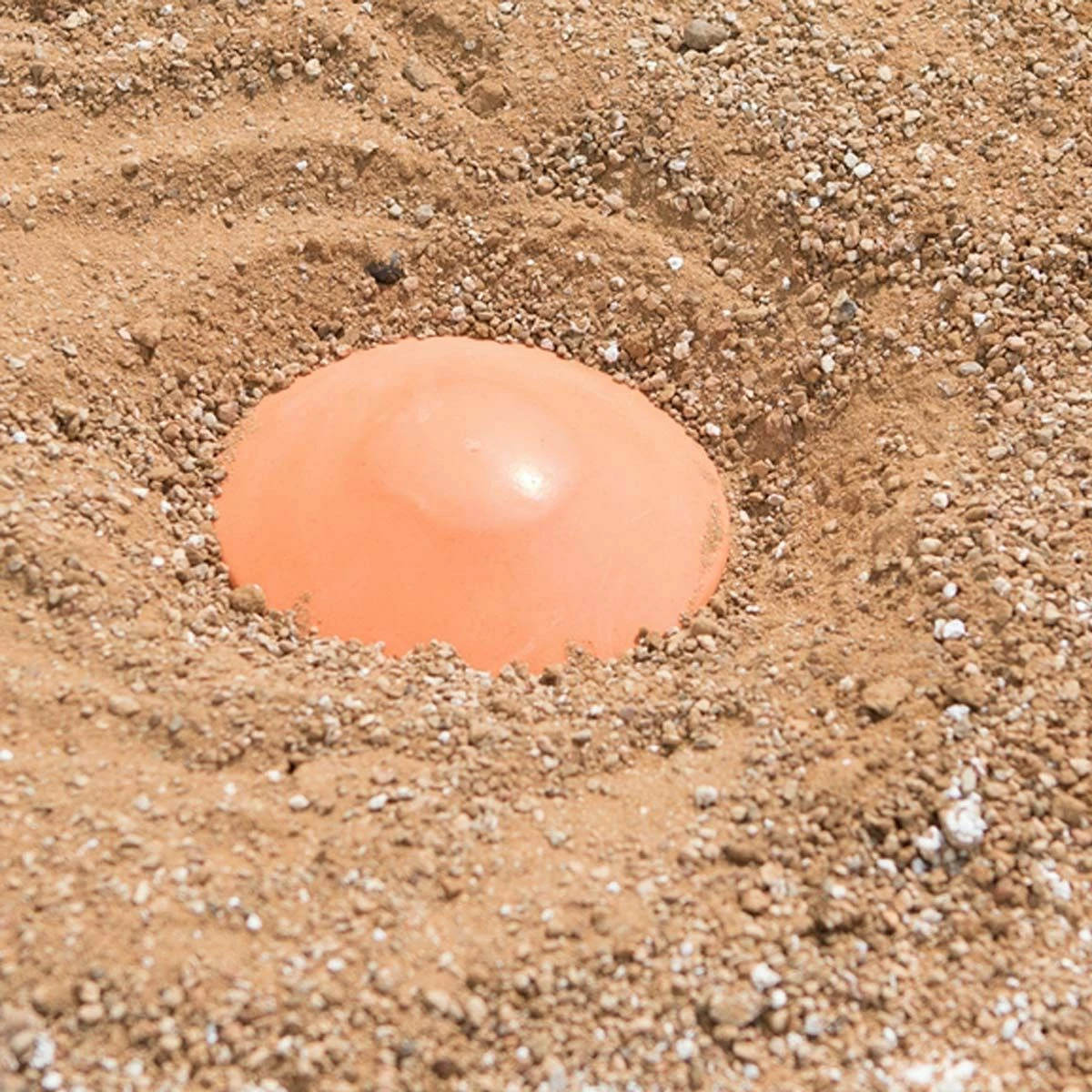 Best deal 🔥 Champion Rubber Base Plug for Ground Anchors, M500P 🔔 4 Best deal 🔥 Champion Rubber Base Plug for Ground Anchors, M500P 🔔 - Image 4