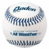 Best reviews of 😍 Baden PR-0A, All Weather Practice ⚾ Baseball 🤩