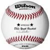 Cheap 🌟 Wilson A1062BDY1 Dixie Youth ⚾ Baseballs, dz 🎉