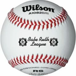 Top 10 ⌛ Wilson A1082BBR1 Babe Ruth ⚾ Baseballs, dz 🧨
