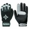 Promo ⌛ PALMGARD Glove, ADULT ⭐