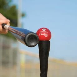 Best Pirce โญ Champion 6/set 2.8" Weighted Training Balls ๐ 14 Best Pirce โญ Champion 6/set 2.8" Weighted Training Balls ๐ -BASEBALL Official Shop a34 001 2 1