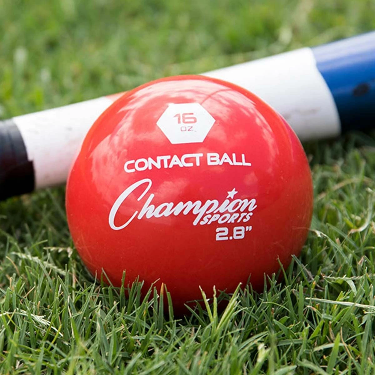 Best Pirce โญ Champion 6/set 2.8" Weighted Training Balls ๐ 8 Best Pirce โญ Champion 6/set 2.8" Weighted Training Balls ๐ - Image 8